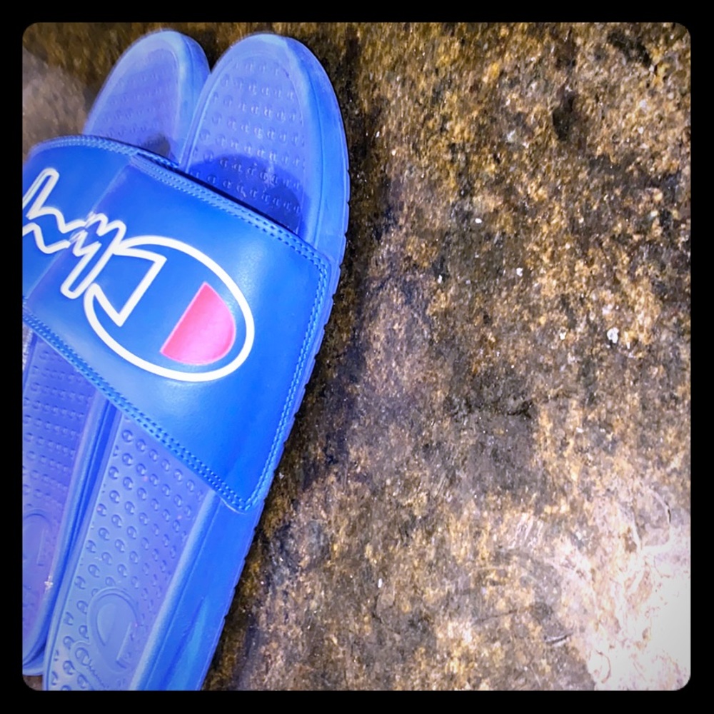 Surf the Web Script Champion Slides(Blue)